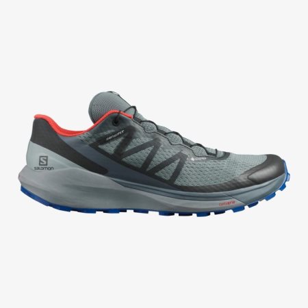 Salomon SENSE RIDE 4 GORE-TEX INVISIBLE FIT Mens Trail Running Shoes Green | Salomon South Africa